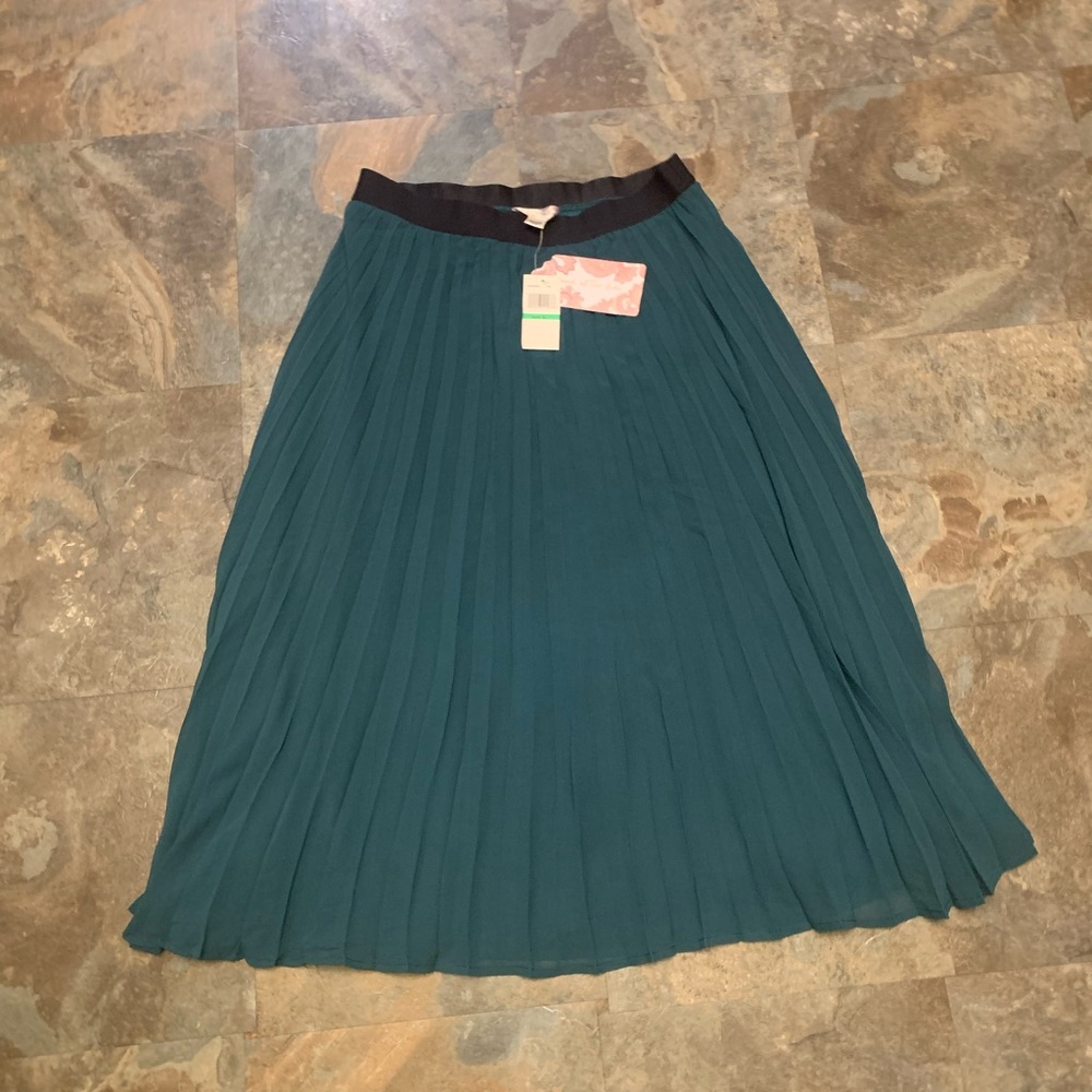 Band of the free teal pleated skirt, size L. NWT